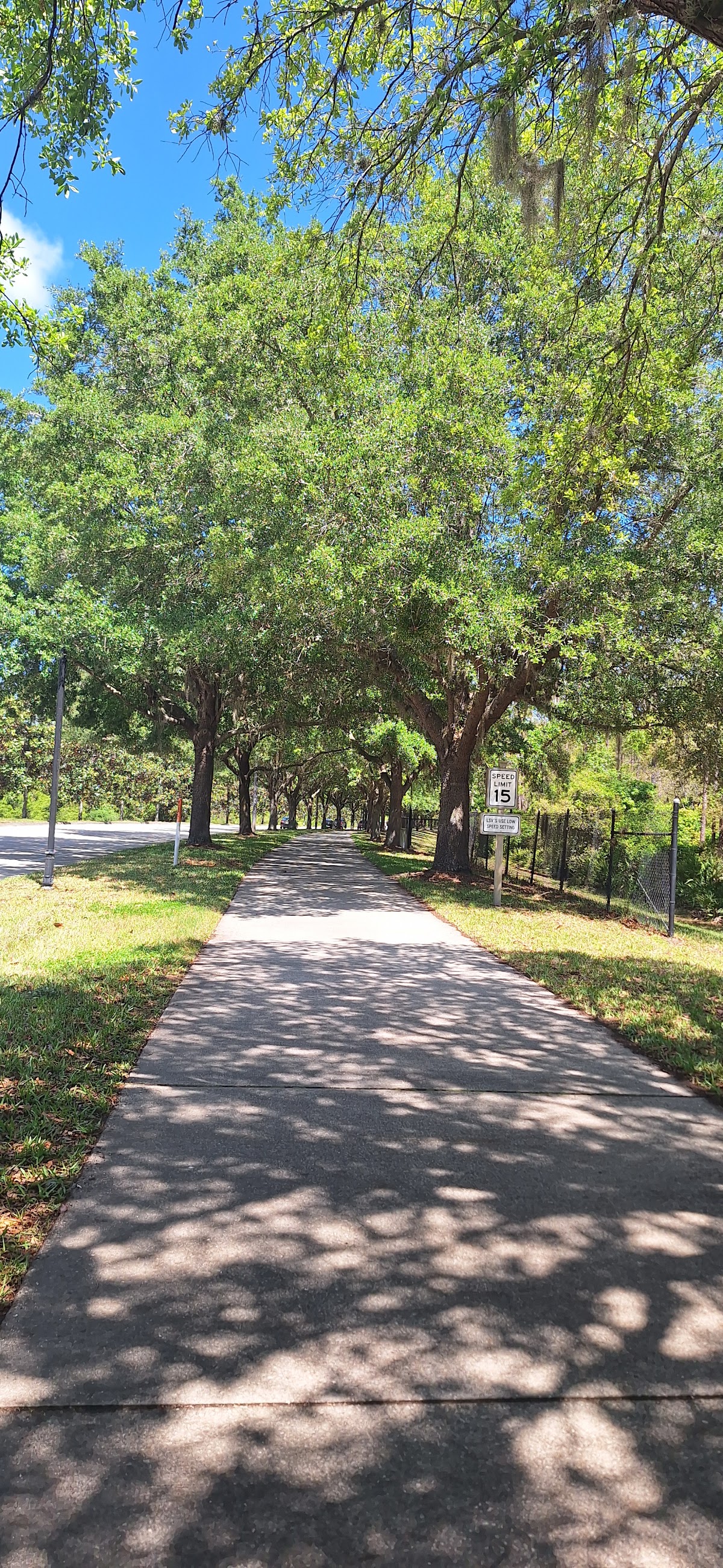 Ponte Vedra 10-Miler