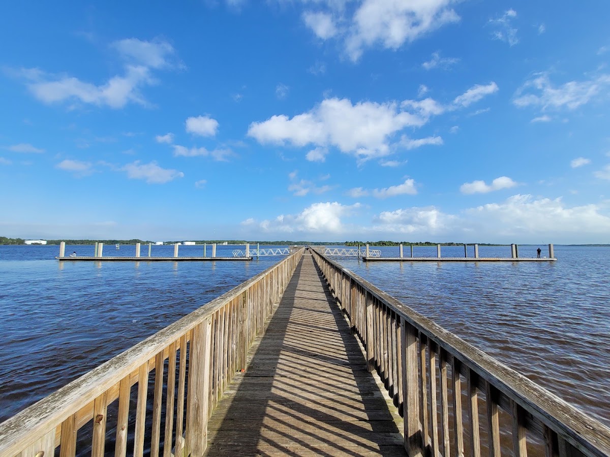 Reddie Point Preserve with Sue Killeen