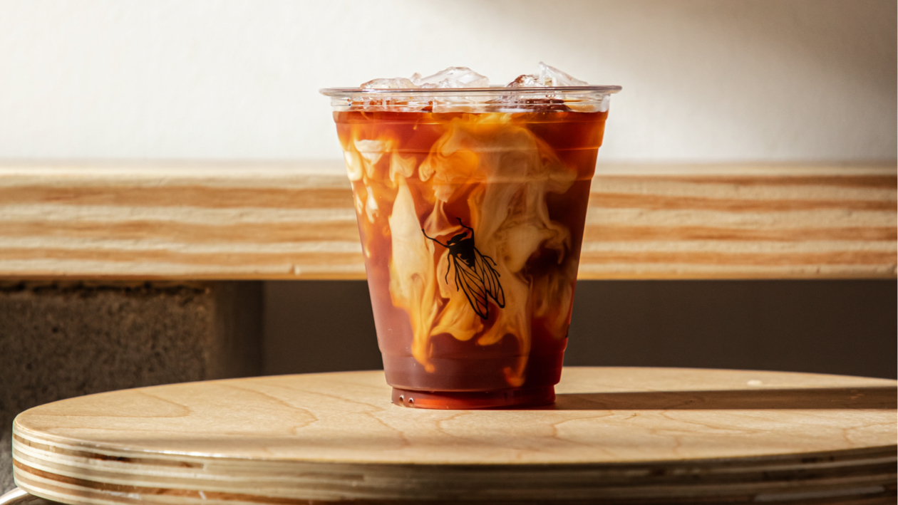 Cicada Coffee