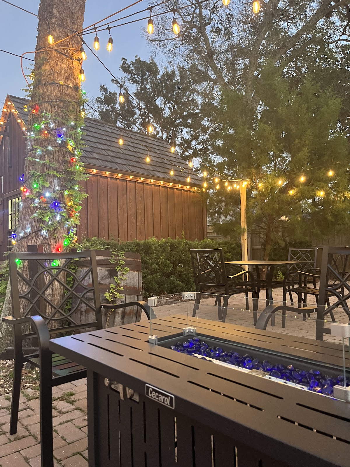 Kafe Kava - St. Augustine Kava Bar