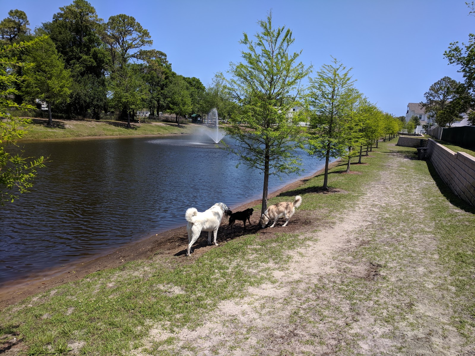 Atlantic Beach Dog Park (Members Only)