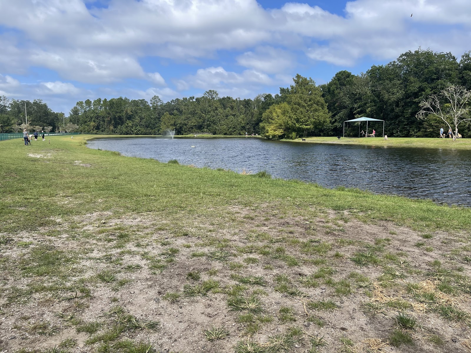 Davis Park Dog Run