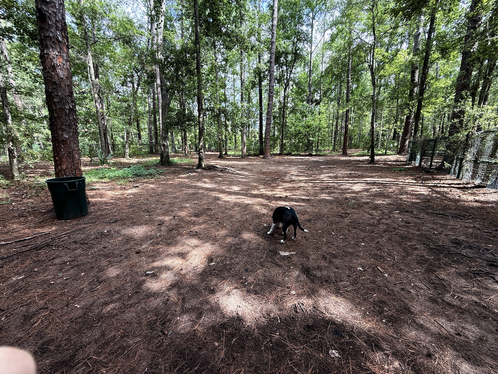 Tillie K. Fowler dog park