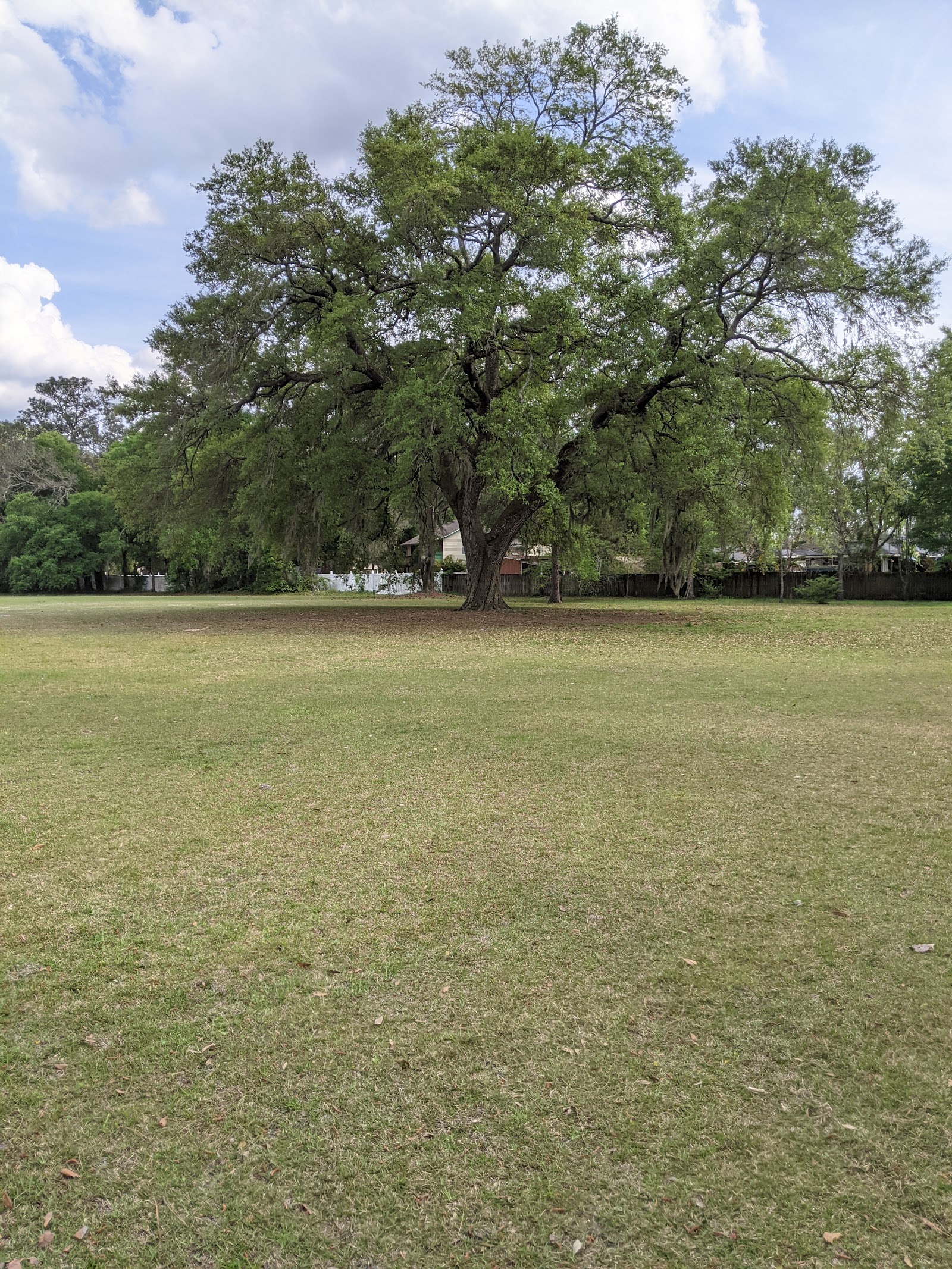 Walter Anderson Memorial Park